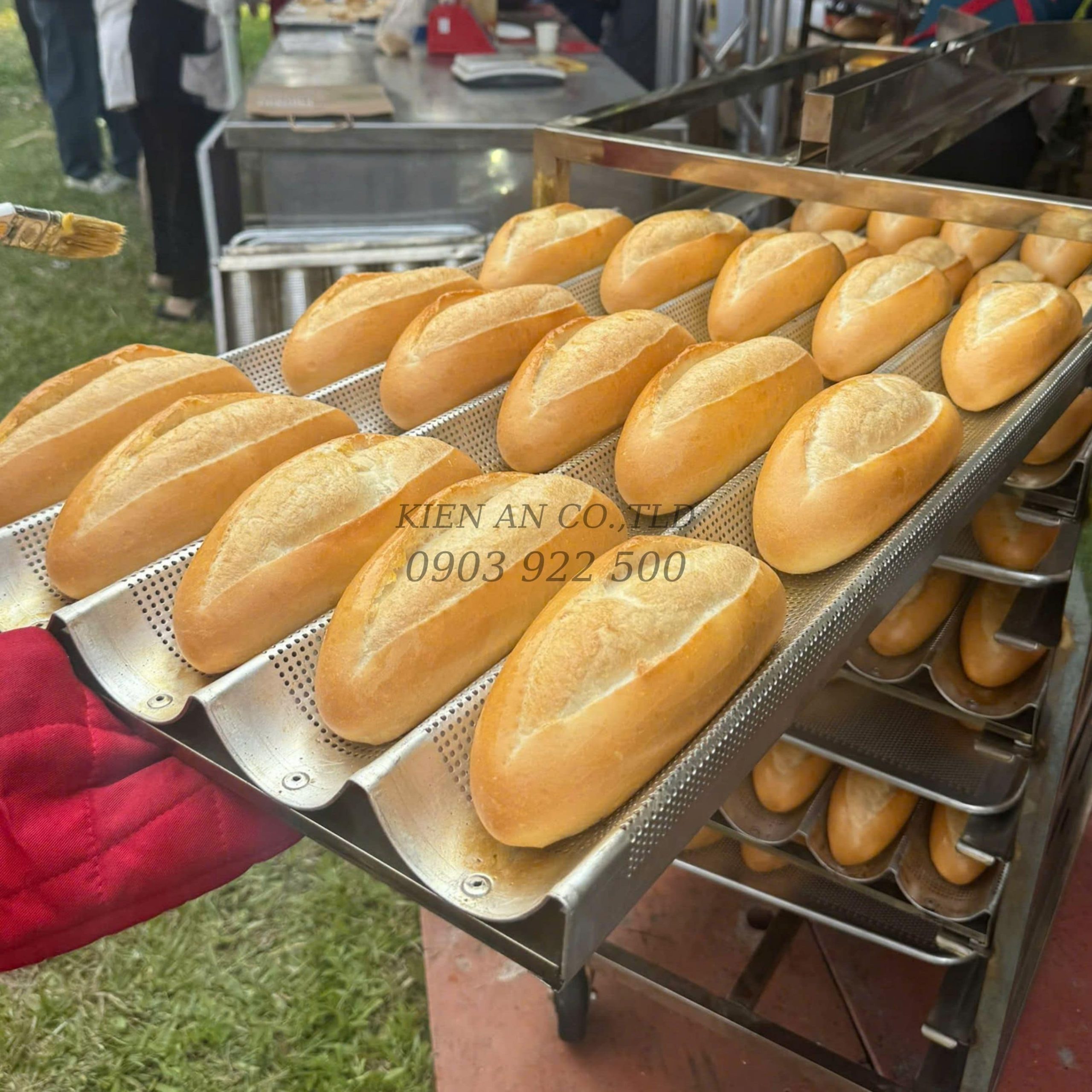 Khay sóng nướng bánh mì - Ảnh 3
